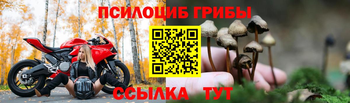 что такое наркотик  Галлюциногенные грибы Psilocybe  Галлюциногенные грибы GOLDEN TEACHER  Вход с VPN  Майский 